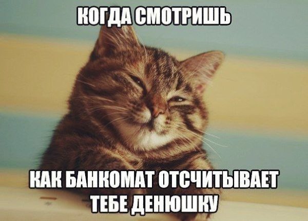 ������� - 5 ������ 2020 � 19:13