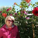 ���� ����, ������, 62 ���� - ��������� 2 ���� 2020 � ������ ���� ����������