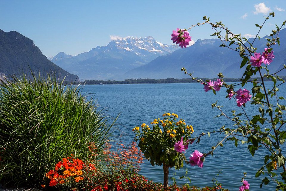 Ш (MONTREUX),.  25     ,     ... - 9