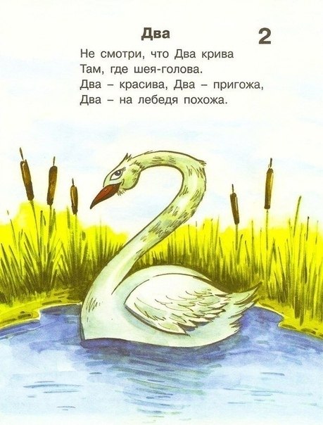      - 2