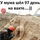 ���� ��������, ����������, 43 ���� - ��������� 4 ����� 2020 � ������ ���� ����������