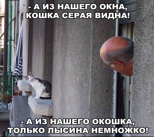    - 10  2020  19:08