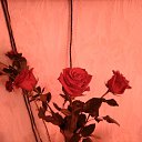 ���� �����, ������-��-���� - ��������� 8 ����� 2020 � ������ ���� ����������