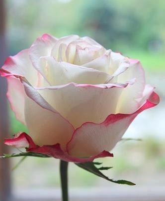 !   ,   .    ,   .       ...