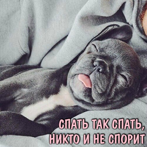 ***Victoria Viktorovna*** - 5  2020  16:48