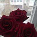 ���� �����, ������������, 46 ��� - ��������� 1 ��� 2020 � ������ ���� ����������