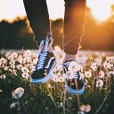 ���� ����, �����, 29 ��� - ��������� 19 ����� 2020 � ������ ���� ����������