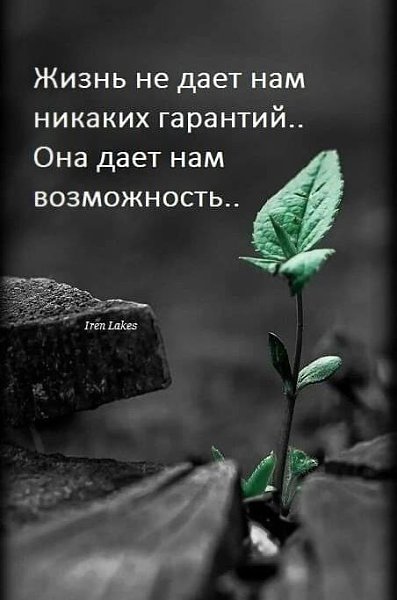  - 17  2020  16:43