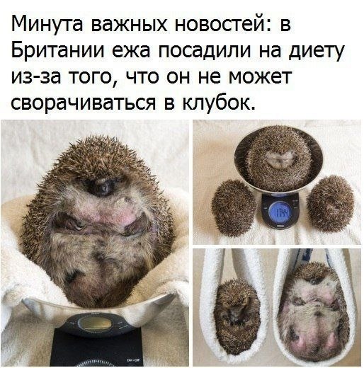������� - 4 ������ 2020 � 19:13