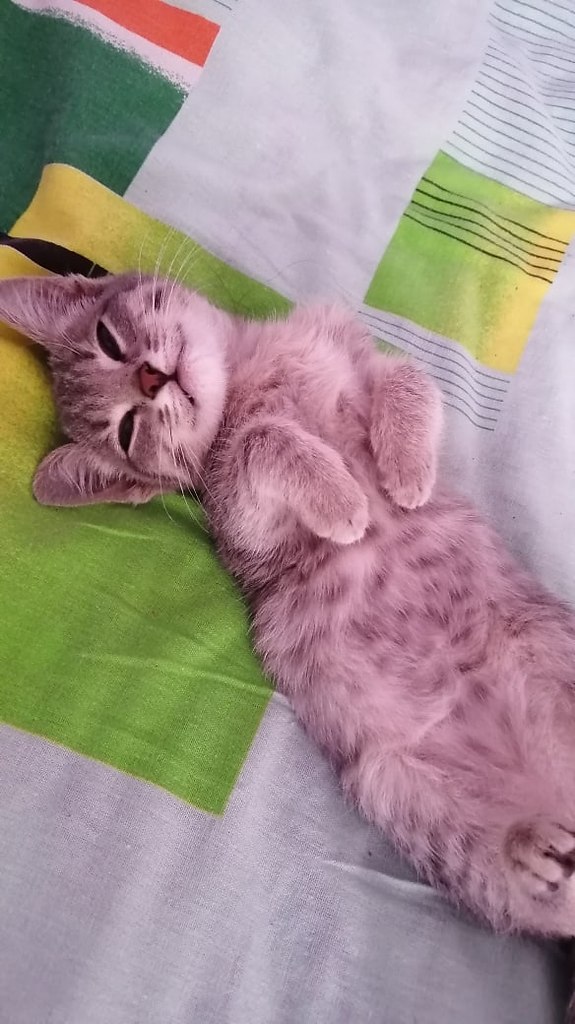 #_.  2019    ,     .   ...