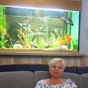 ���� �������, ������, 59 ��� - ��������� 19 ��� 2020