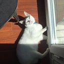 ���� O, ������, 49 ��� - ��������� 12 ���� 2020 � ������ ���� ����������