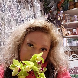 �����������, �����, 49 ���