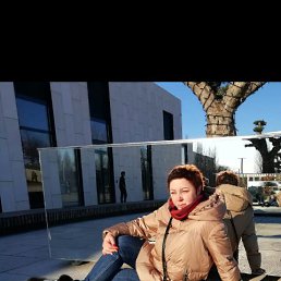 , 58, 