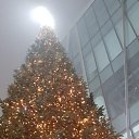 ���� ����, ������, 52 ���� - ��������� 8 ������ 2020 � ������ ���� ����������