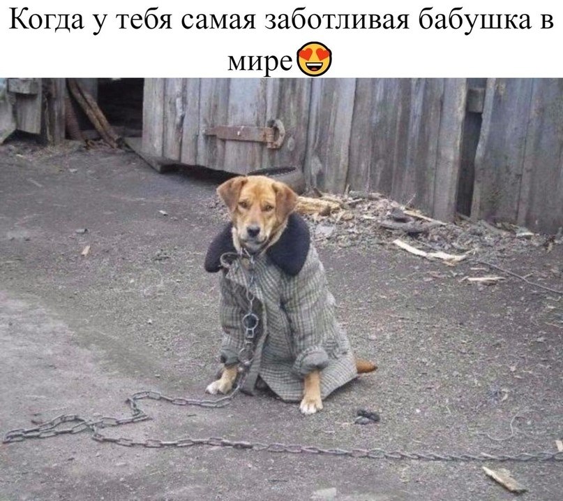   - 12  2020  21:29
