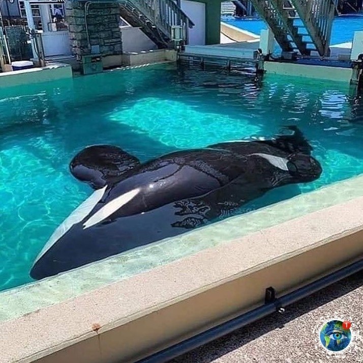 o eep, oce ap ee a caoo,  ca oa, a  a cao ee eo... ... - 5