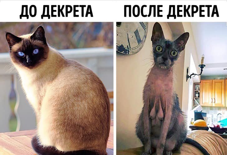  - 29  2020  23:30