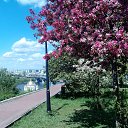 ���� Vladimir, ������ ��������, 73 ���� - ��������� 22 ��� 2020