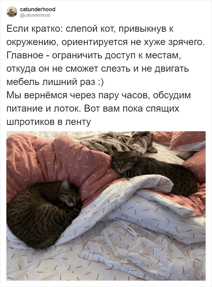  -  .        . - 5