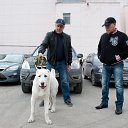 ���� ����, �����������, 61 ��� - ��������� 10 ������ 2020