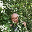 ���� ������, �����-���������, 66 ��� - ��������� 12 ���� 2020 � ������ ���� ����������