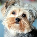 ���� �����, ������ - ��������� 25 ���� 2020 � ������ ���� ����������