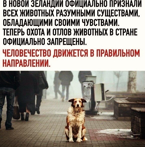 Надеюсь что в скором будущем и в других странах так же поступят.