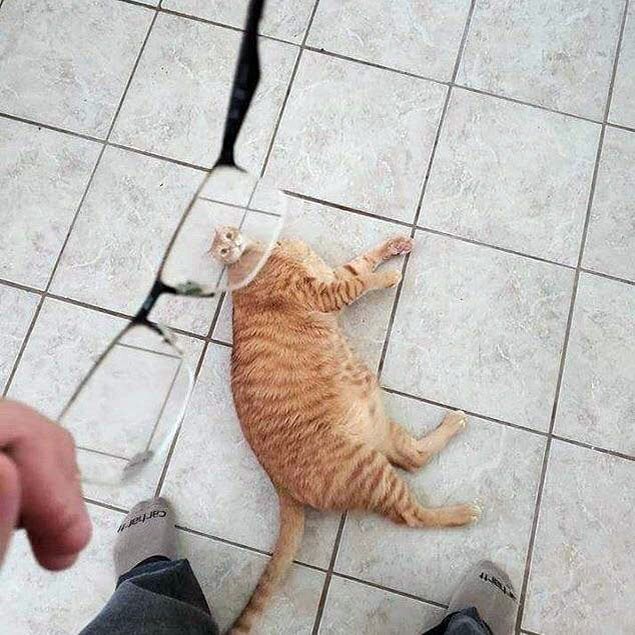 ,     -   - 6