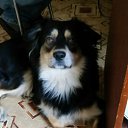 ���� ����������, ����������, 48 ��� - ��������� 3 ������� 2020