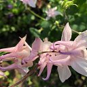 ���� ����, ���������� - ��������� 14 ���� 2020 � ������ ���� ����������