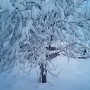 ���� ��������, ������, 40 ��� - ��������� 10 ������� 2020 � ������ ���� ����������