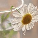 ���� Vyach, ������, 51 ��� - ��������� 6 ������ 2020 � ������ ���� ����������
