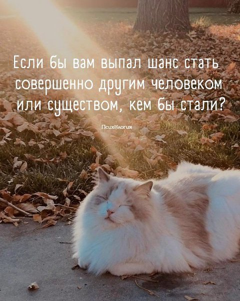  , ..