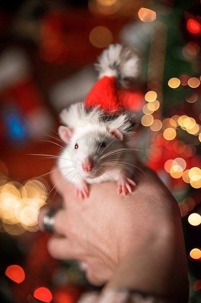 2020 o - o o o kk  k o  o kk kk   k! ... - 4