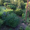 ���� ���, ������, 48 ��� - ��������� 5 ���� 2020 � ������ �������
