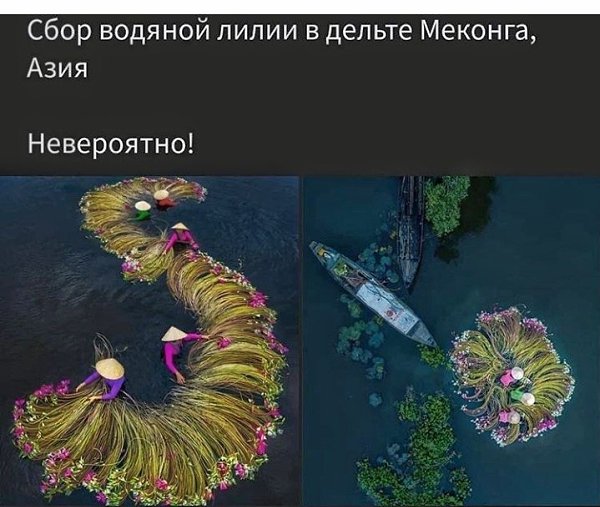 LIFE -  - 10  2020  19:06