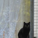 ����� ��������. �� ������� ���������� ����!�