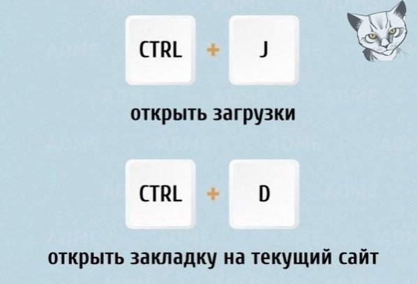      - 5