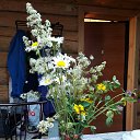 ���� ���������, �������, 57 ��� - ��������� 29 ���� 2020 � ������ ������ ��������