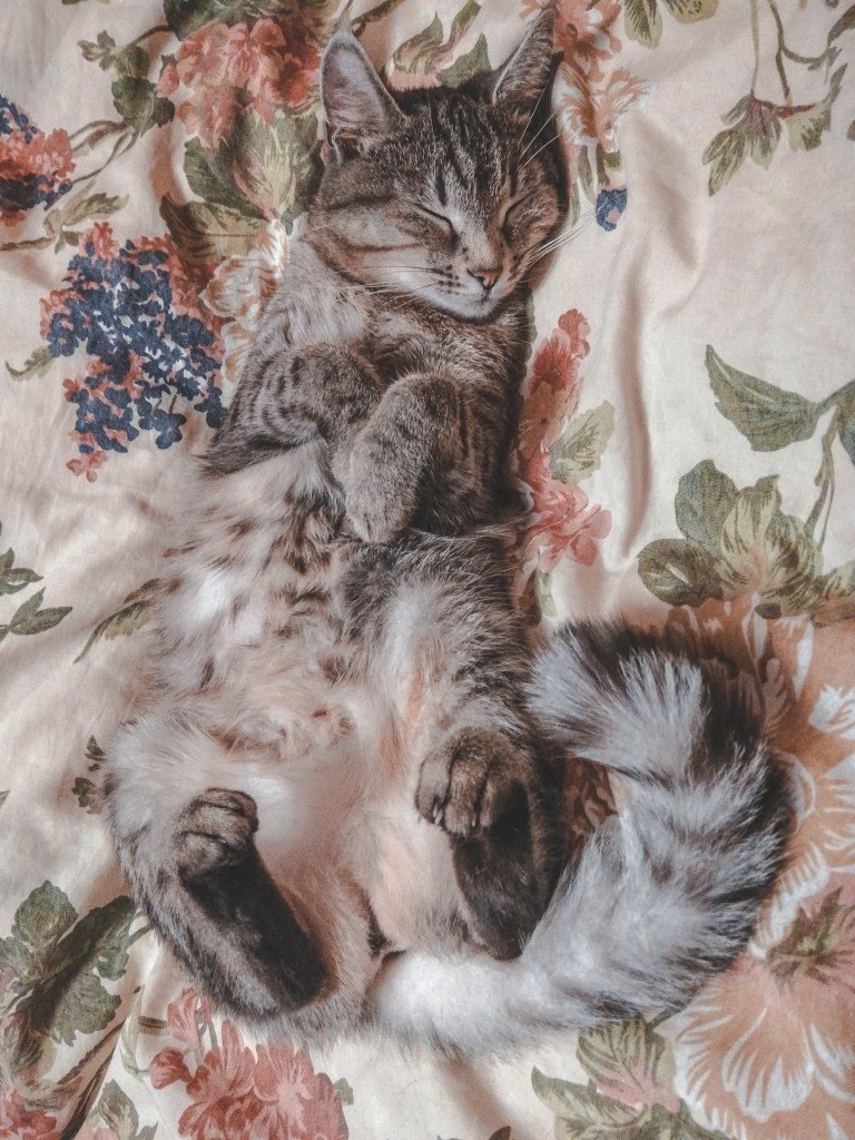   !! -   ,   - 3