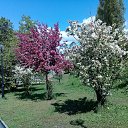 ���� Vladimir, ������ ��������, 73 ���� - ��������� 22 ��� 2020