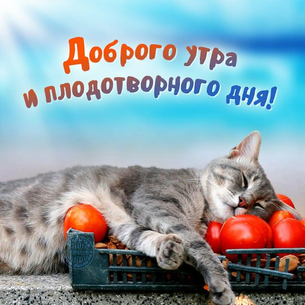 ***Victoria Viktorovna*** - 6  2020  03:03