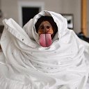 ���� ����, ����, 42 ���� - ��������� 28 ������� 2020 � ������ ���� ����������