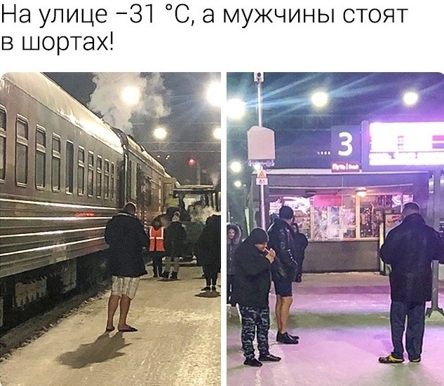 oca ec  coce co eae o oee  aape P. - 3