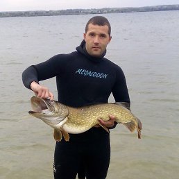 �������, ��������, 38 ���