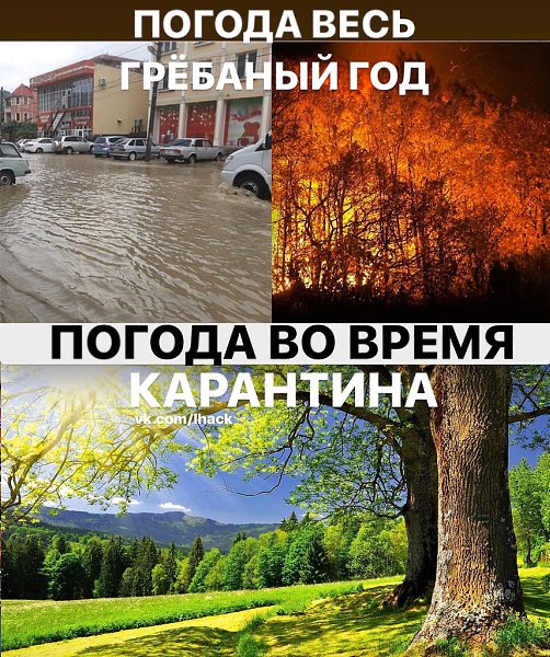 ������� - 10 ������ 2020 � 19:13