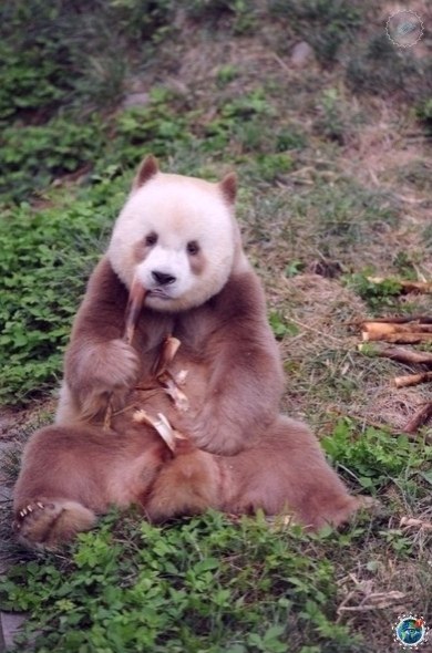 ac!   a - ea  e a aa