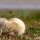 ���� ������, ������, 61 ��� - ��������� 23 ��� 2020 � ������ ���� ����������