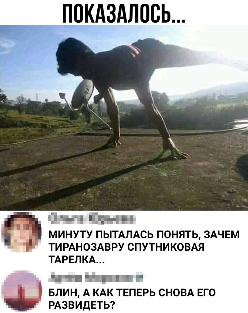   ))